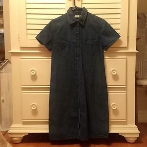 LL Bean Jean dress